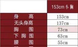 请教星艺153的问题