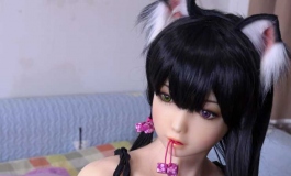 猫娘小蝶的日常