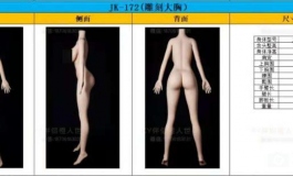 XY伴侣体型一览表（全）
