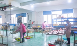 我在娃厂的趣味生活10