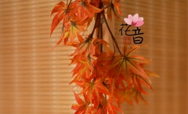 片片枫叶情……有猫饼啊没福利~