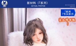 叁卉（sanhui）新材料T系列7号头弥月+156大胸 基叔特装版三