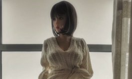 80年代复古葵