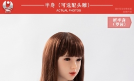 叁卉（sanhui）1米半身（带头）发布！轻便易收藏～