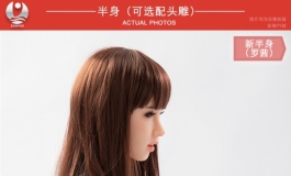 叁卉（sanhui）1米半身（带头）发布！轻便易收藏～