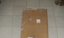 新人开箱，cat 166安安 + 带头穿衣服演示