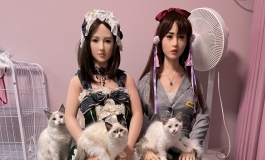给春水堂琳琳和人造人理惠换了新衣服，猫咪比我还兴奋