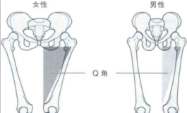 画虎画皮难画骨，横评当前几款专利骨架