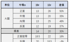 《矮大紧》全网首发人造人19R允熙样品评测（升级变化）