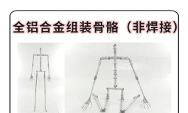 附加选项★星艺人型