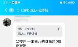 lspdoll娃娃