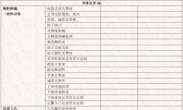 终极杀手——硅胶人偶QC质量检测单