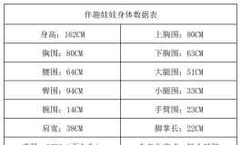 伴趣//身形数据和选配