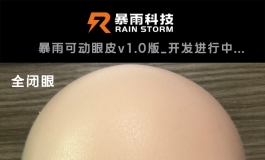 关于暴雨正在开发的两项新工艺，大家帮忙投个票