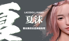 LACEDOLL本年度开发计划