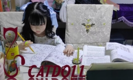 catdoll奈奈子 孩子不写作业只想玩 可以动手么？